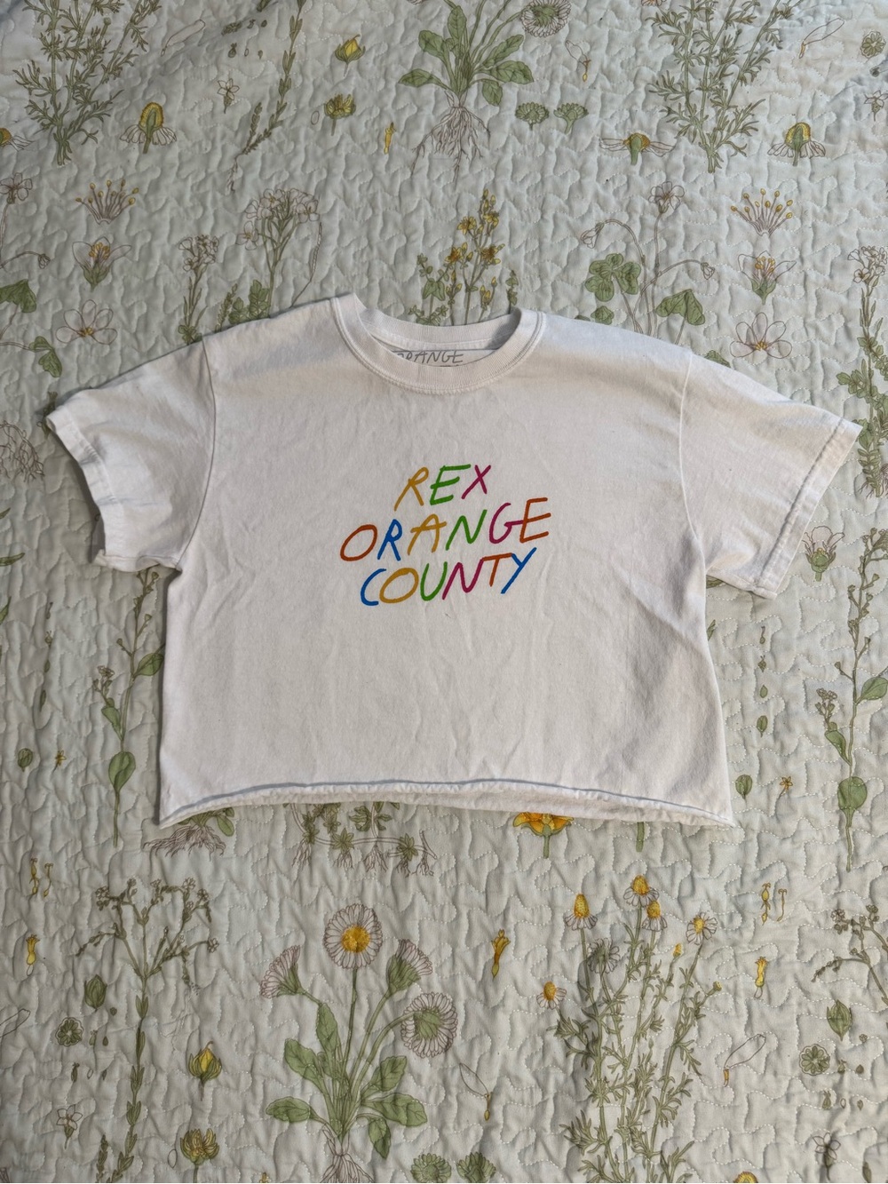 White Cropped Graphic Tee with Multicolor 'Rex Orange County' Print